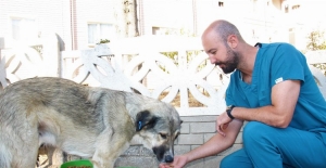 İzmir Menderes'te sokak hayvanları unutulmuyor
