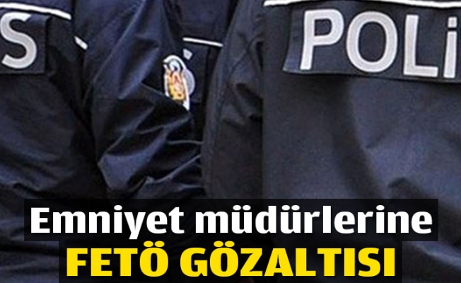 Emniyet müdürü ve 16 polise FETÖ gözaltısı