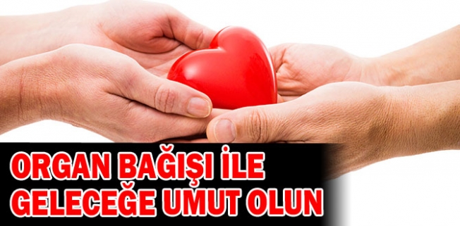 Bursa'da organ bağışında rekor beklentisi