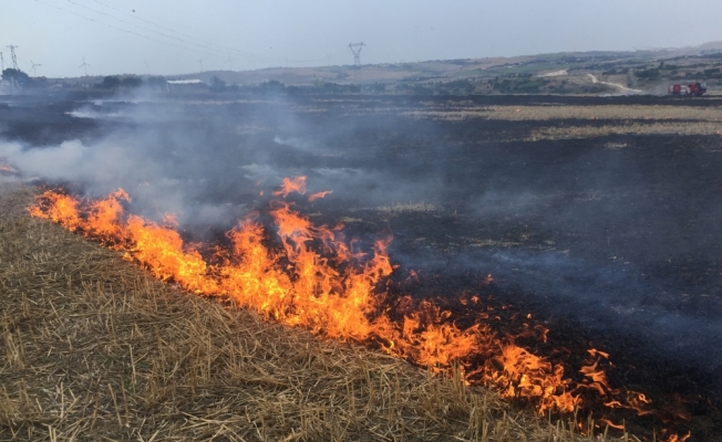 Anız yangını: 40 dönüm arazi zarar gördü