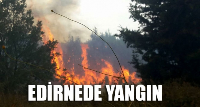 Edirne'de yangın