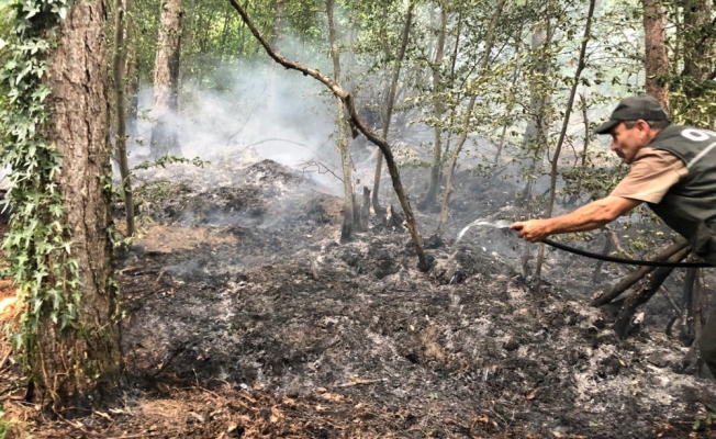 Uludağdaki  orman yangını kontrol altına alındı