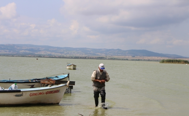 Manyas Gölü'nde balıkçılar sıkıntılı