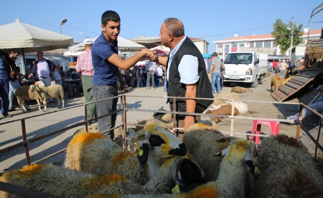 Trakya'daki hayvan pazarlarında yoğunluk