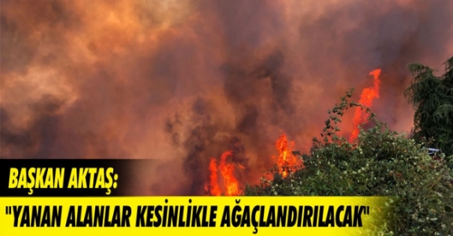 Bursa'da yanan alanlar ağaçlandırılacak