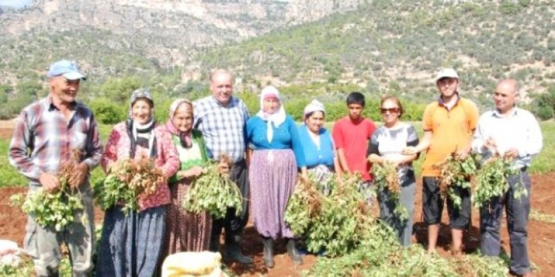 Çöpköy'de hasat şenliği düzenlenecek