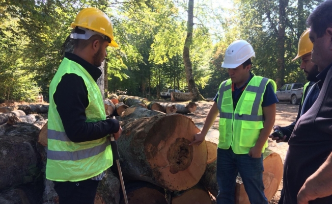 Orman mühendislerine Bursa Orman Bölge Müdürlüğü'nde staj imkanı