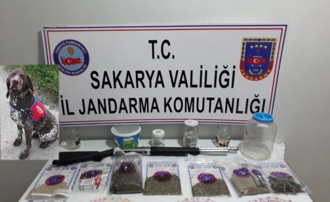 Sakarya'da uyuşturucu operasyonu
