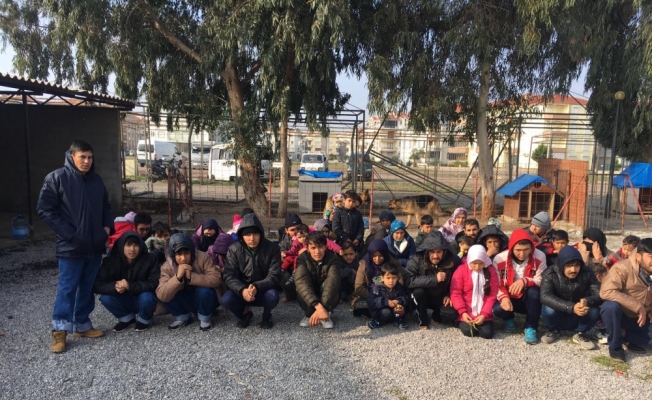 Balıkesir'de 50 düzensiz göçmen yakalandı