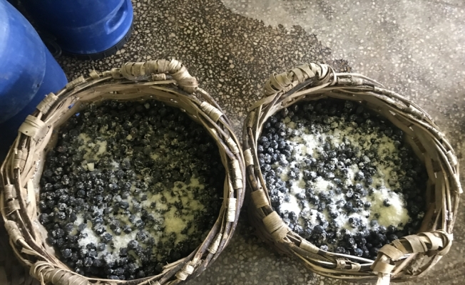Dededen kalma yöntemle hasır küfelerde sele zeytini hazırlıyor