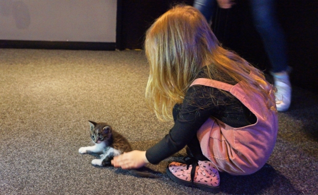 Sinema salonunda bulunan kedi çocukların ilgi odağı oldu