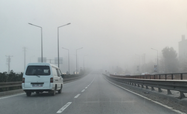 Yalova'da yoğun sis