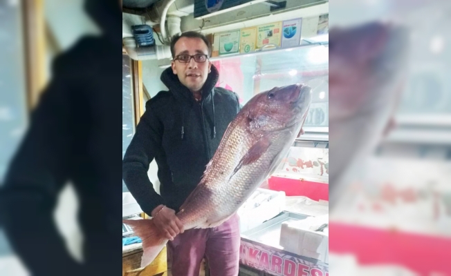 Balıkçının oltasına 17 kilogramlık mercan takıldı