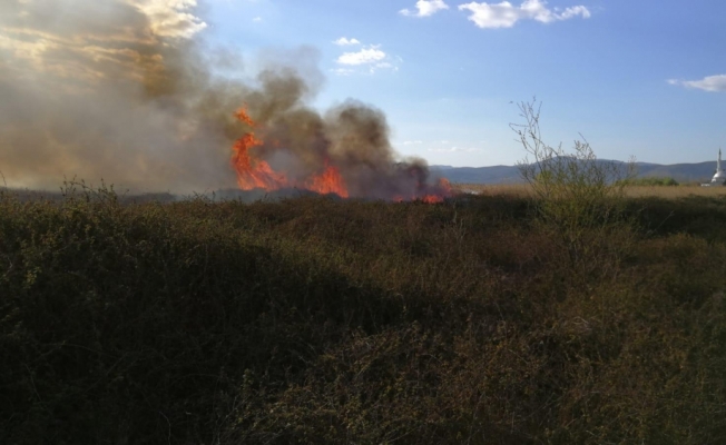 İznik Gölü yakınındaki sazlık alanda yangın