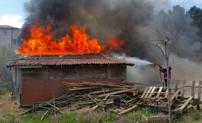 Sakarya'da baraka yangını