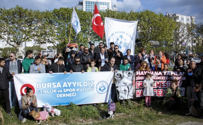 Bursa'da hayvanseverler sokak hayvanları için bir araya geldi
