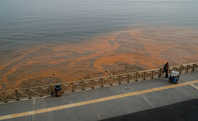 Marmara Denizi'ndeki plankton kaynaklı turunculuk