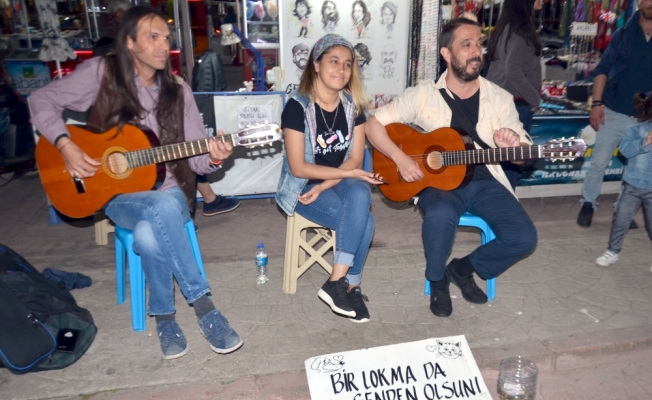 Genç müzisyenler şarkılarını sokak hayvanları için söylüyor