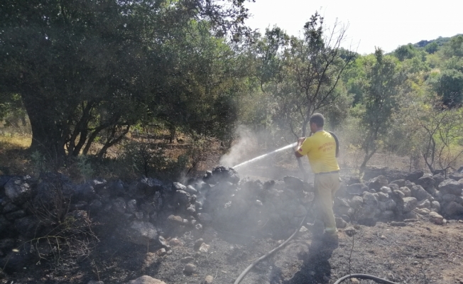 Çanakkale'de tarım arazisinde yangın