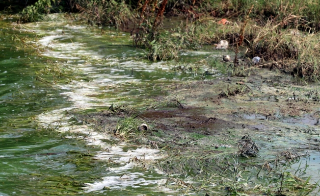 Kırklareli'nde sulama göletine atık bırakıldığı iddiası