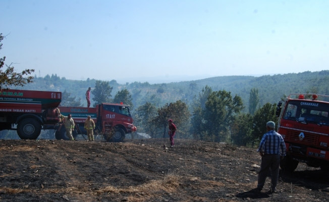Çanakkale'de arazi yangını