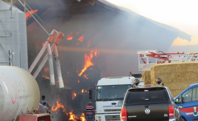 GÜNCELLEME - Kırklareli'nde hayvan çiftliğinde yangın