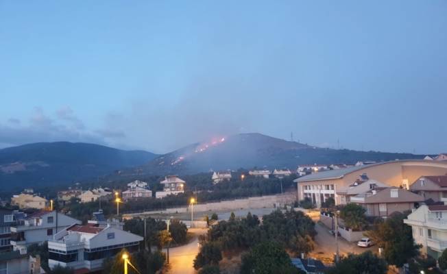 Balıkesir'de makilik yangını