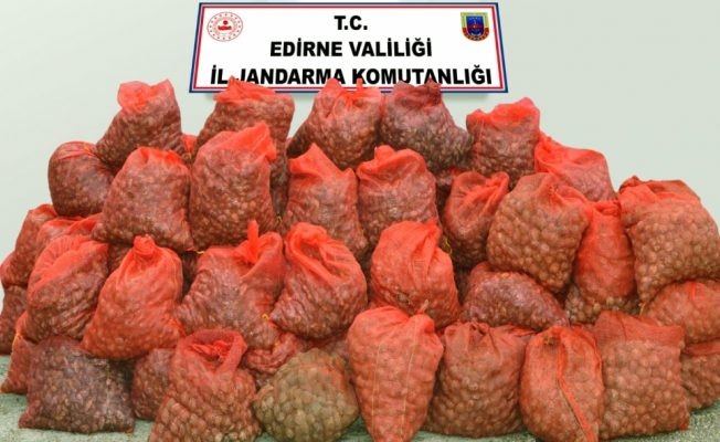 Edirne'de 1 ton 350 kilogram midye ele geçirildi