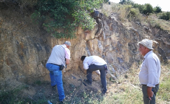 İznik'te denizlerde yaşayan mikroorganizmalara ait fosil kalıntıları bulundu