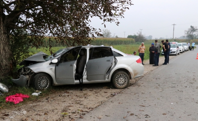 Otomobil ağaca çarptı: 3'ü ağır 5 yaralı