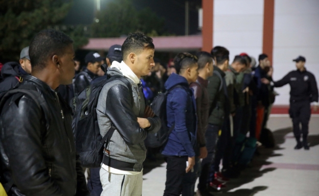 Edirne'de 252 düzensiz göçmen yakalandı