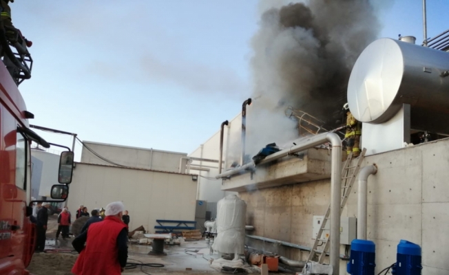 Balıkesir'de süt fabrikasında çıkan yangın maddi hasara neden oldu