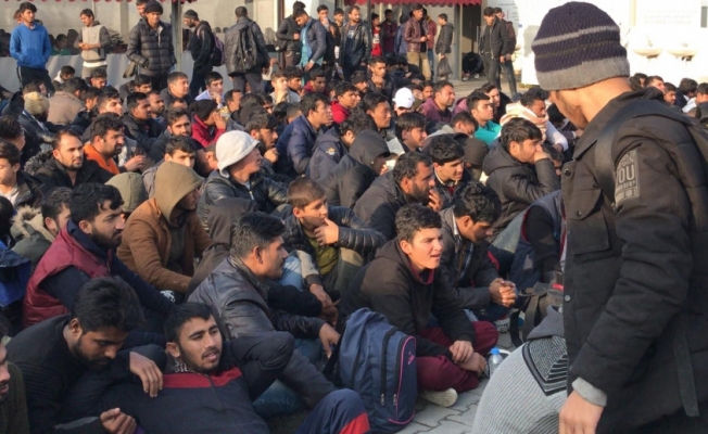Edirne'de 391 düzensiz göçmen yakalandı