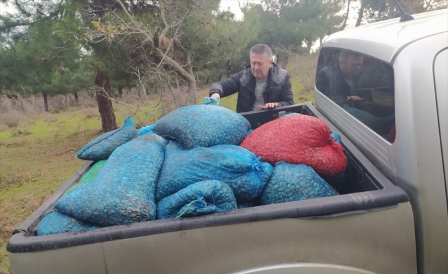 Edirne'de kaçak toplanan 15 ton kum midyesi ele geçirildi