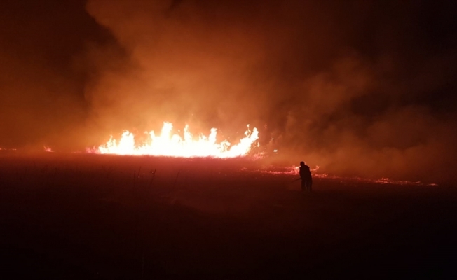 İznik Gölü kıyısındaki sazlık alanda çıkan yangın söndürüldü