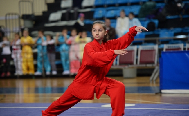 Wushu Kung Fu Geleneksel Türkiye Şampiyonası, Sakarya'da başladı