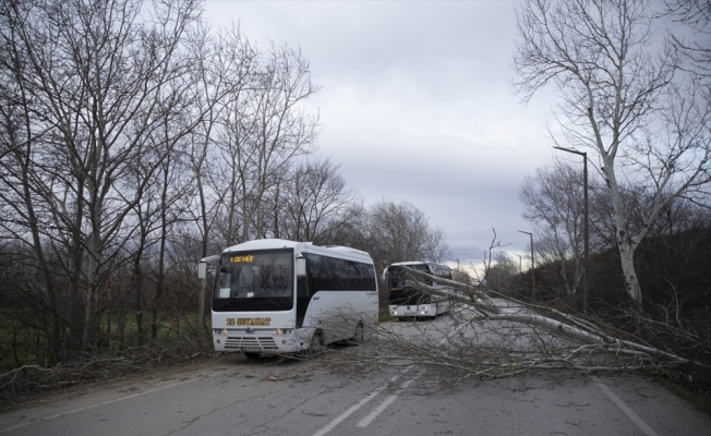 Edirne'de şiddetli rüzgar etkili oluyor