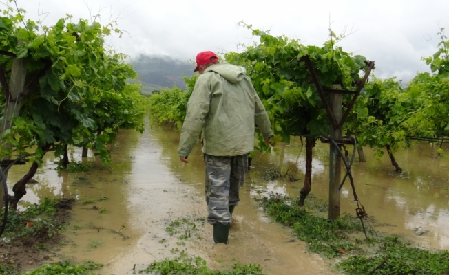 Bursa'da sağanak yağış tarım arazilerini su altında bıraktı