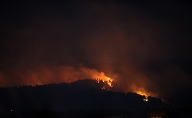 Bakan Pakdemirli'den Gelibolu Yarımadası'ndaki orman yangınıyla ilgili açıklama: