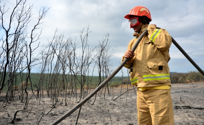 Çanakkale'deki orman yangınına tarım arazisinde yakılan ateşin neden olduğu iddiası araştırılıyor