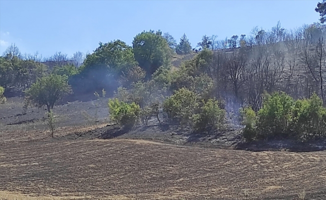 Balıkesir'de çıkan orman yangınında yaklaşık 2 hektar alan zarar gördü