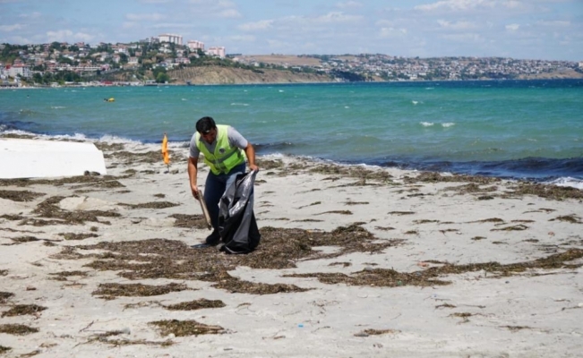 Belediye başkanı tatilcilerden çevreyi kirletmemelerini istedi
