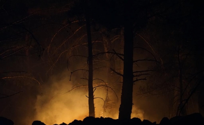 Kazdağlarında orman yangını