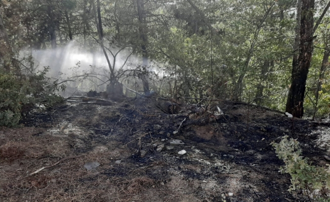 Bilecik'te yıldırım düşmesi sonucu çıkan orman yangını söndürüldü