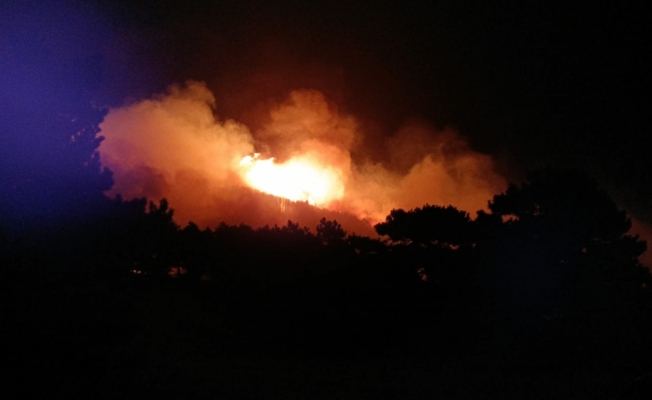GÜNCELLEME - İzmir'de çıkan ve Balıkesir'e sıçrayan orman yangını kontrol altına alındı