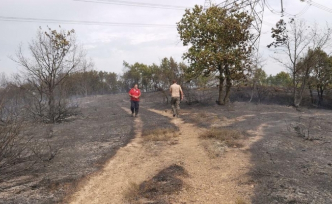 Kocaeli'de çıkan orman yangınına müdahale ediliyor