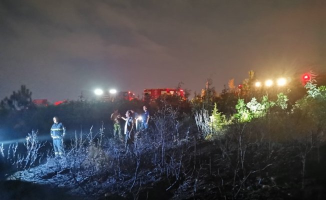 Gebze'de  çıkan yangında çam ağaçları yandı