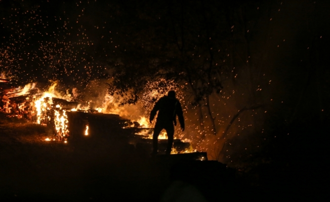 Pendik’te ormanlık alanda yangın