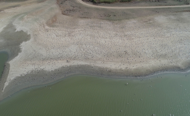 Tekirdağ'da su seviyesi azalan Bıyıkali Göleti'nden sulama durduruldu
