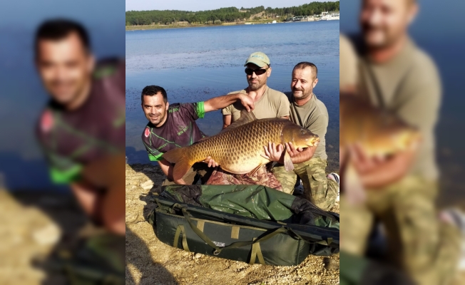 Amatör balıkçı yakaladığı 27,5 kilogramlık sazanı gölete bıraktı